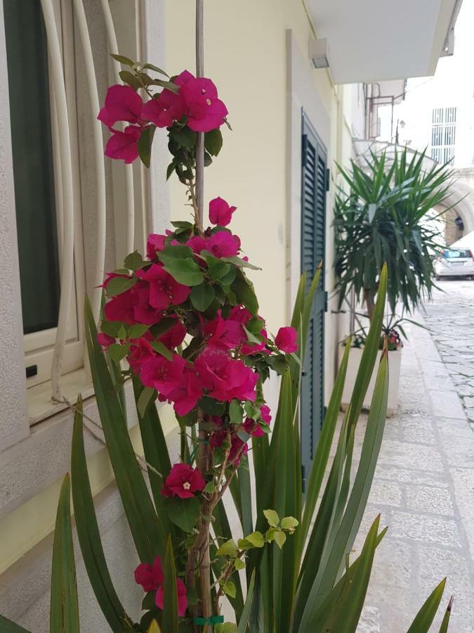 Arco Gentile Bed & Breakfast Bitonto Eksteriør bilde